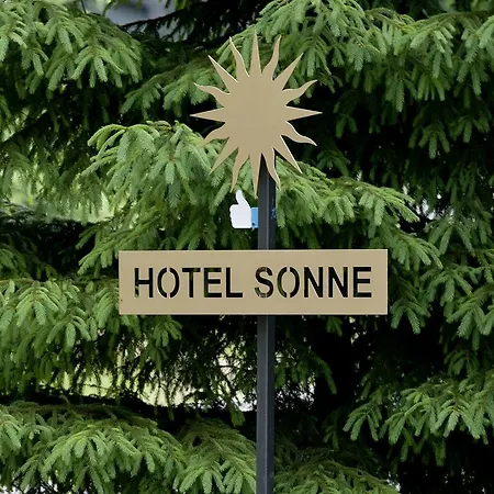 Отель Sonne Зайфен