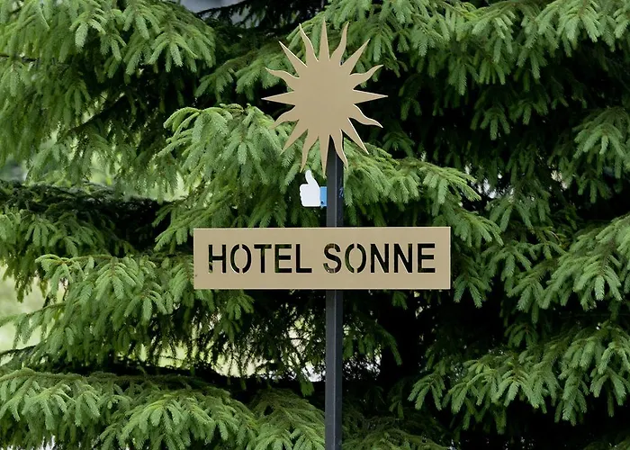 Hotel Sonne Kurort Seiffen/Erzgebirge