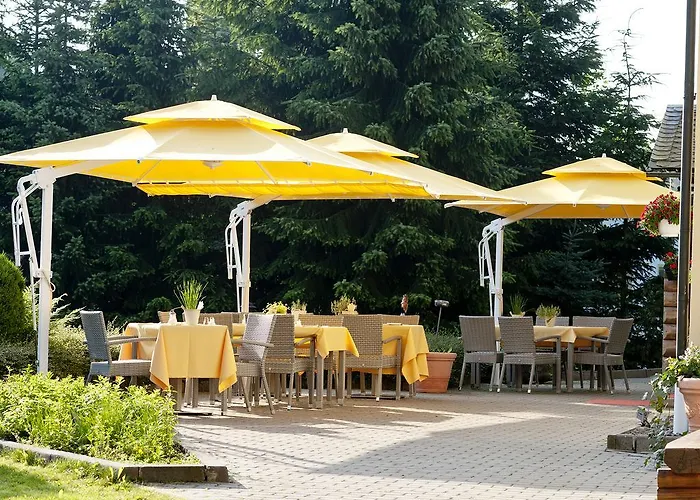 Hotel Sonne Kurort Seiffen/Erzgebirge