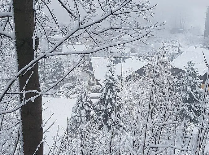 Sonne 3* Kurort Seiffen/Erzgebirge